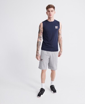 Superdry Core Sport Férfi Rövidnadrág Szürke | EOUKI4839